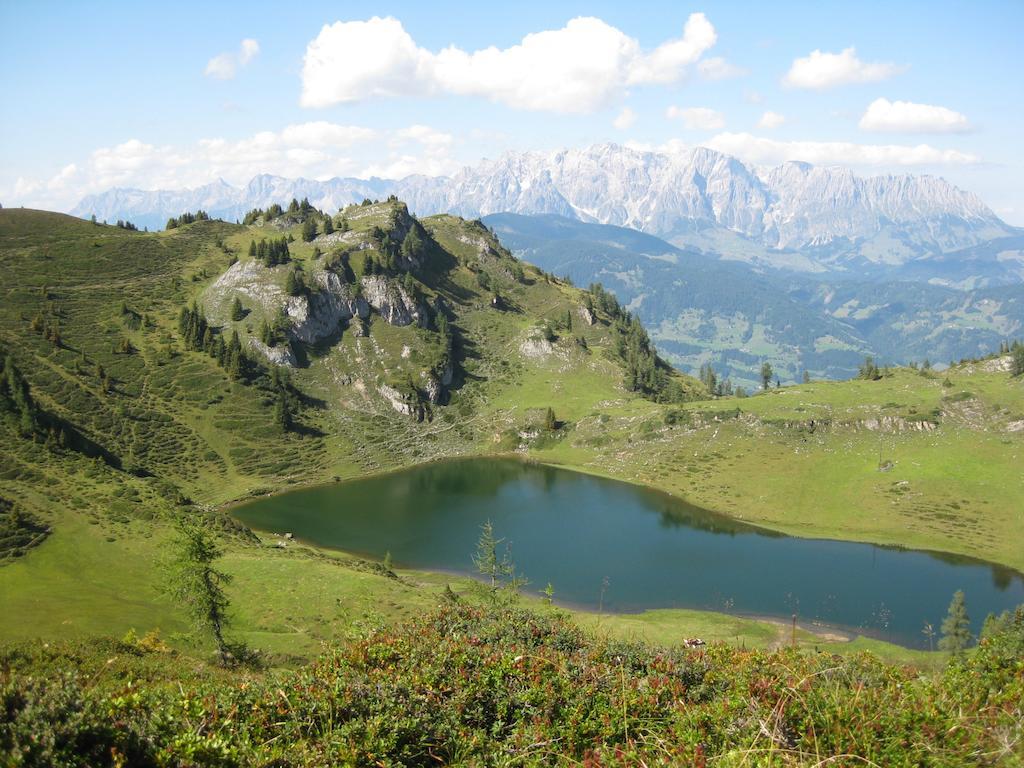 Bergparadies - Inklusive Eintritt In Die Alpentherme ดอร์ฟกาชไตน์ ภายนอก รูปภาพ